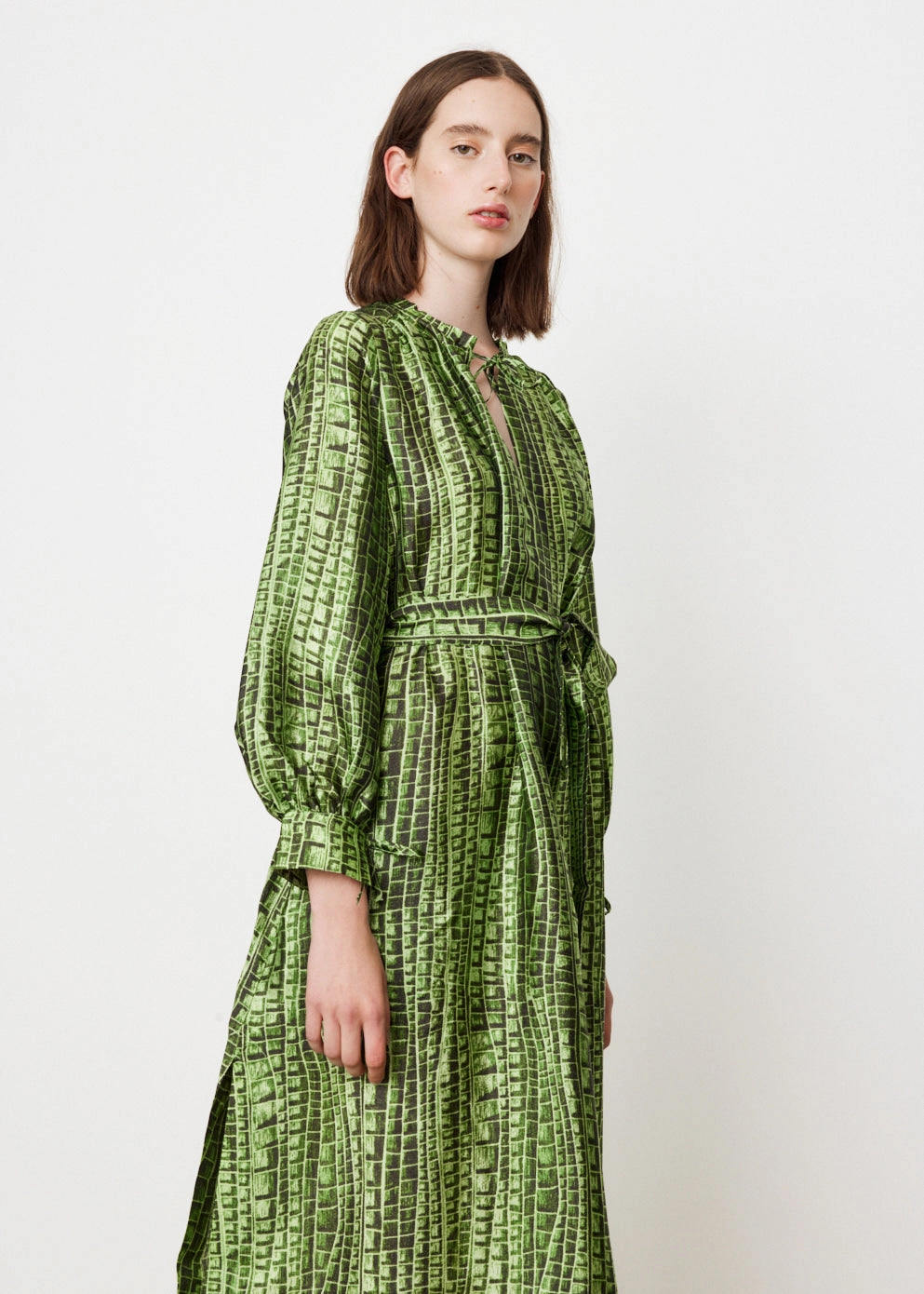 Aradin Dress