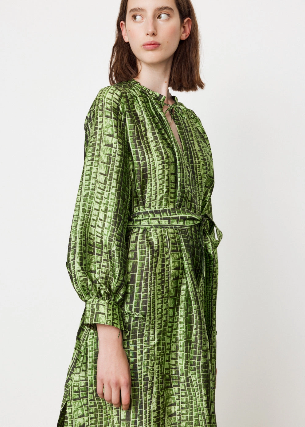 Aradin Dress