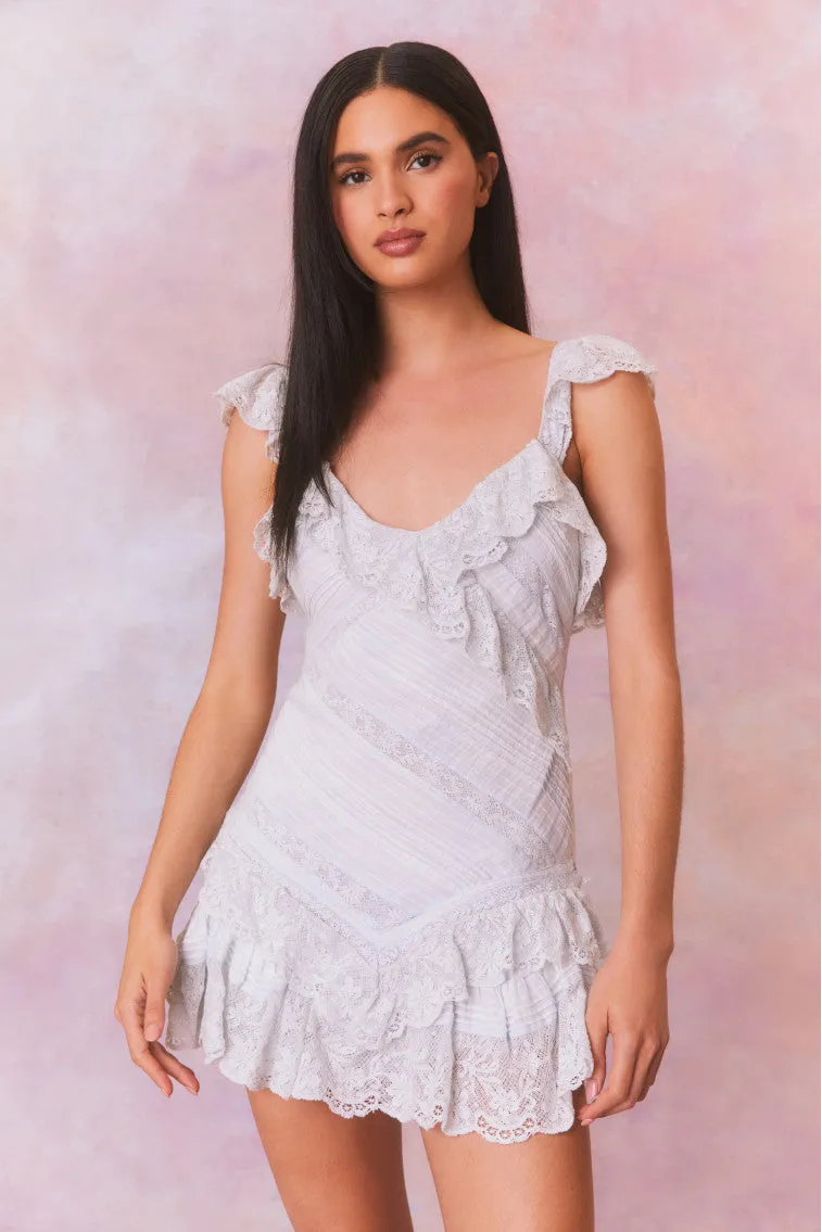 Bensley Fitted Lace Mini Dress