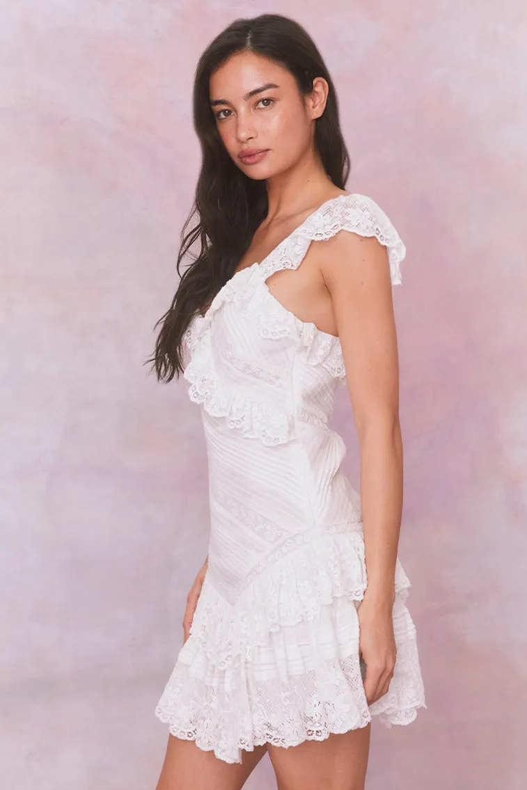Bensley Fitted Lace Mini Dress