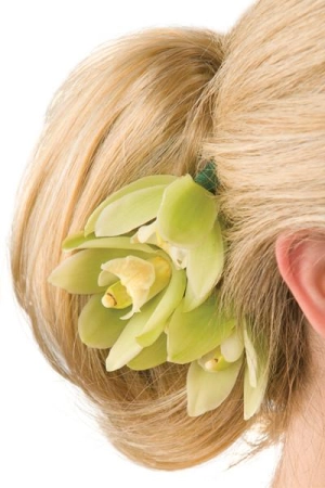 EasiHair Extensions - Poise (#909)