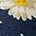 Lazy Daisy Collared Dress