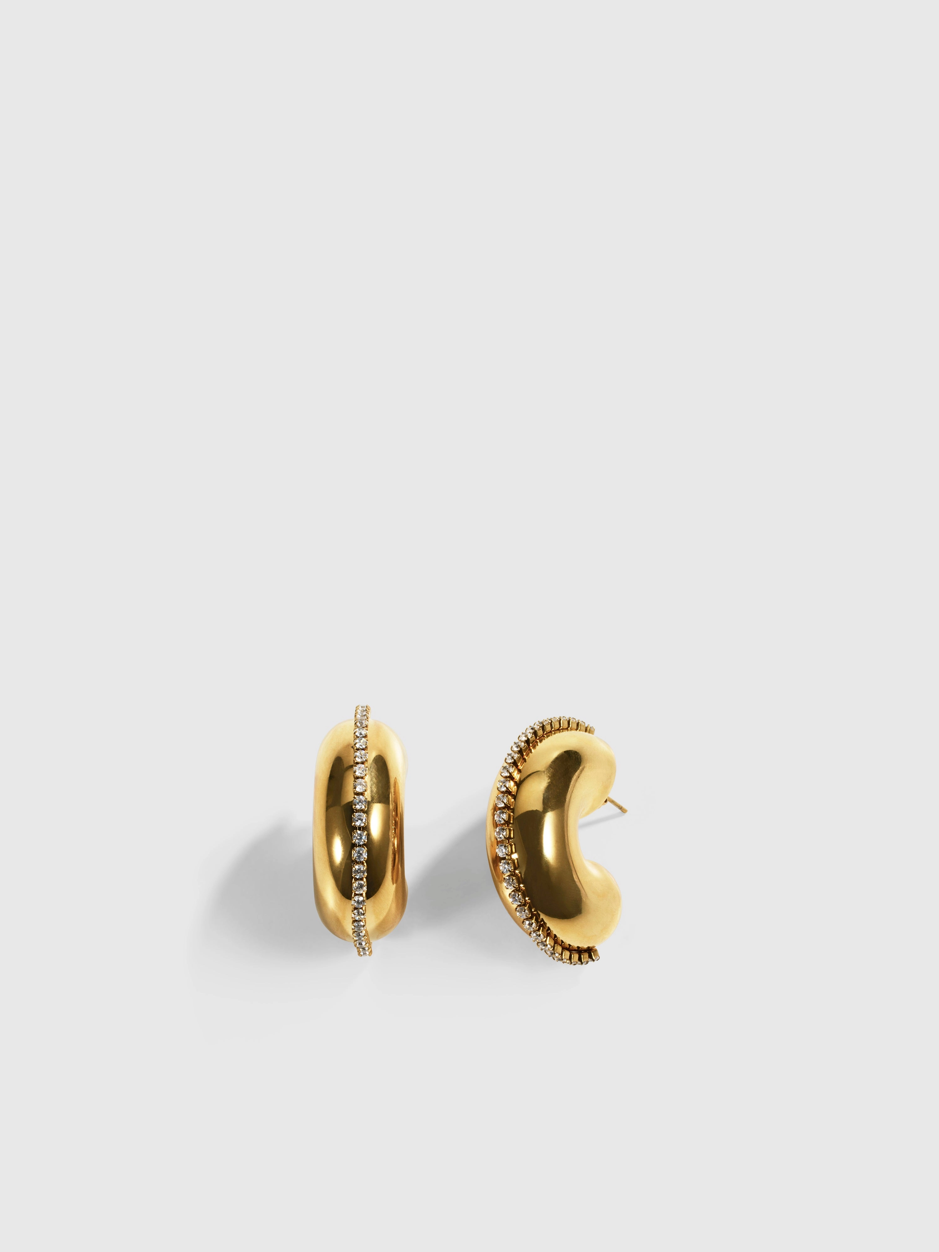 LEO EARRINGS