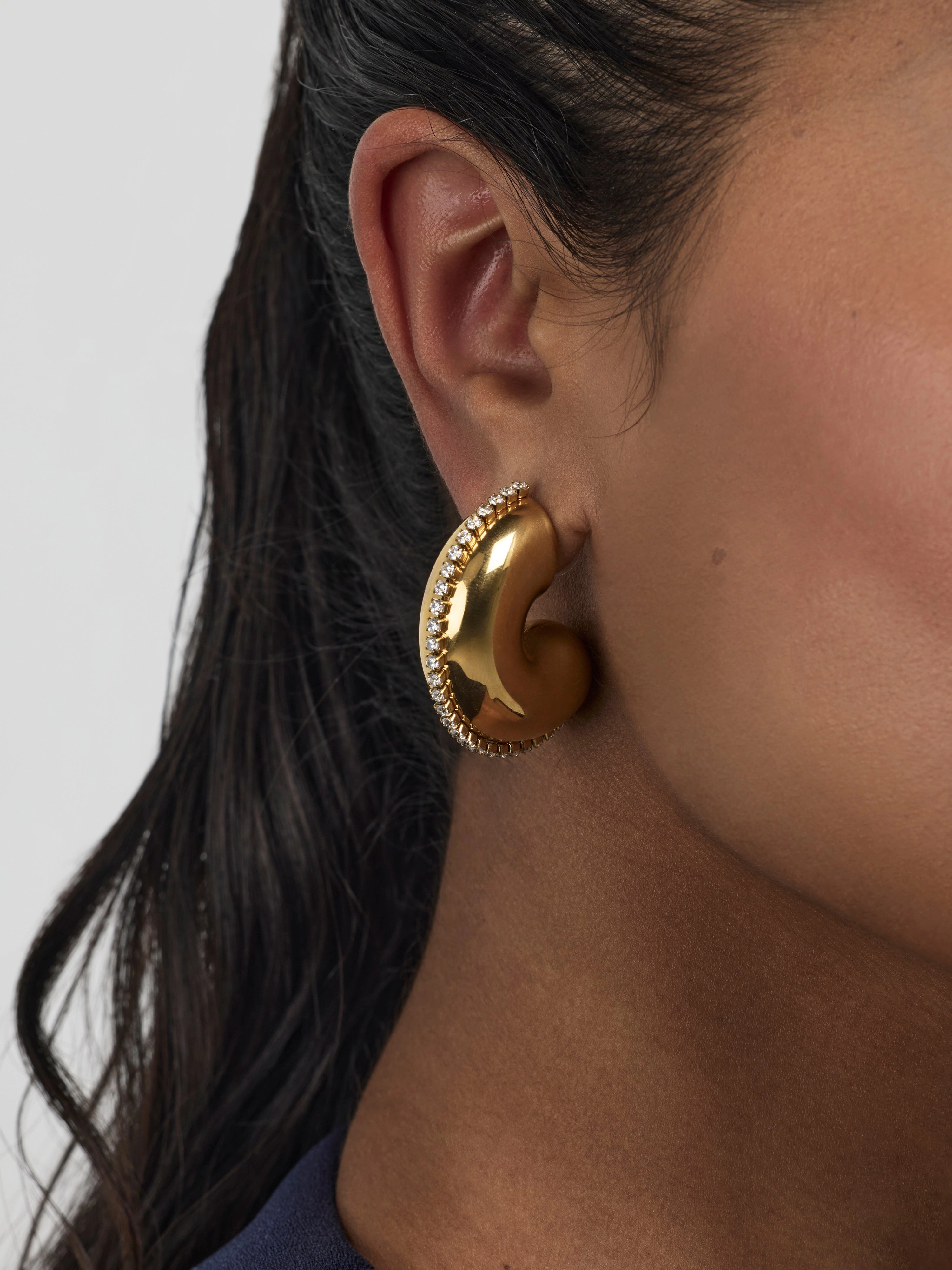 LEO EARRINGS