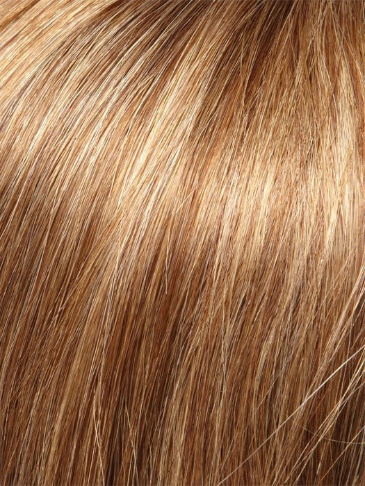 Poise by easihair | Chignon | CLOSEOUT