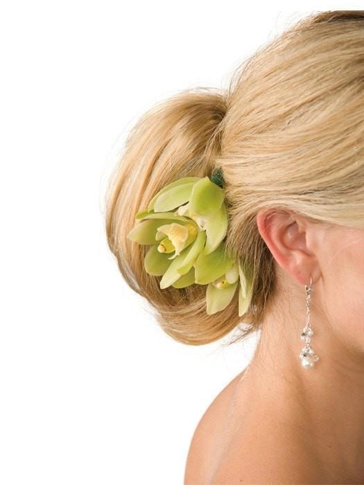 Poise by easihair | Chignon | CLOSEOUT