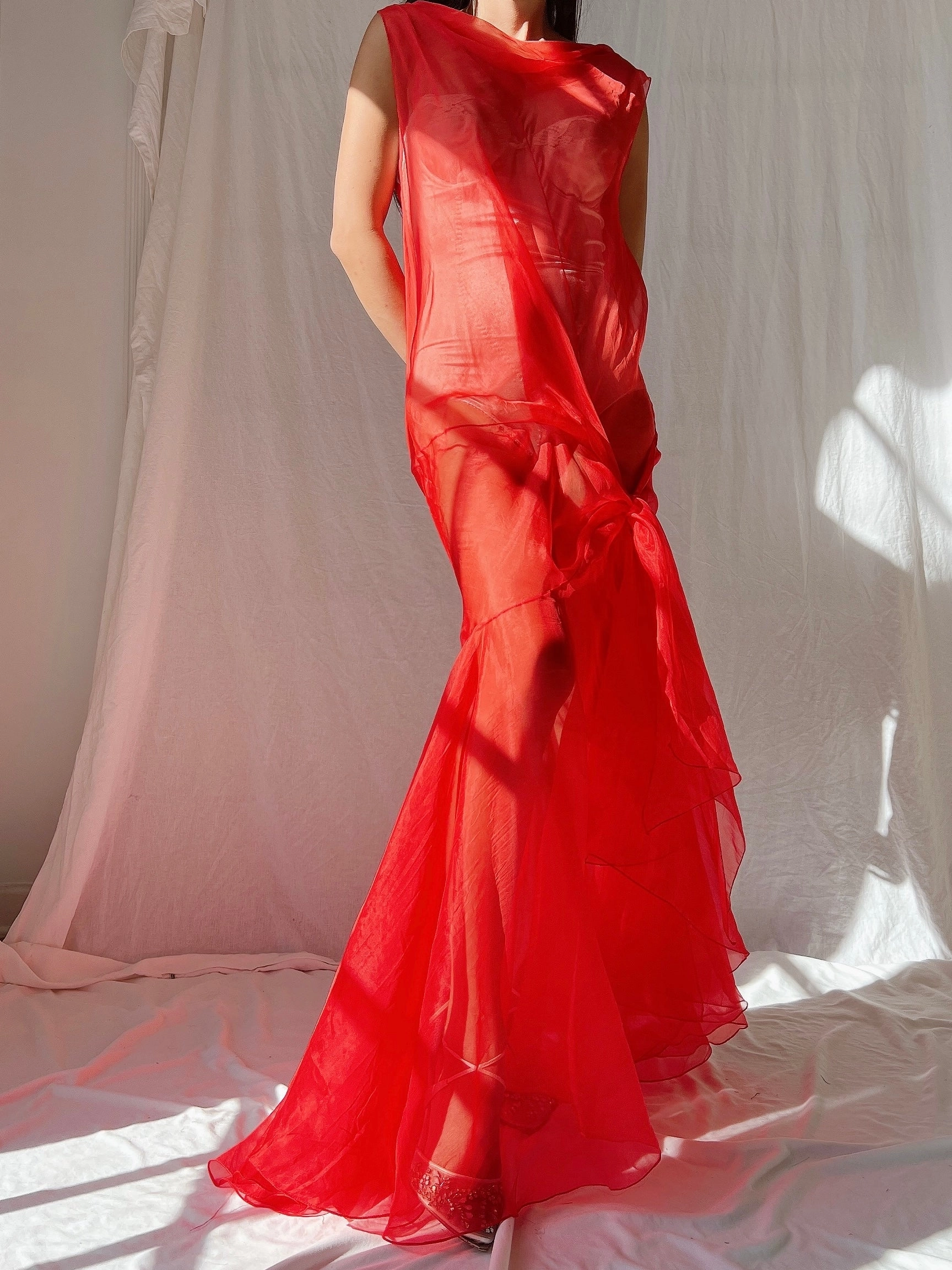 Vintage Silk Organza Dress - M