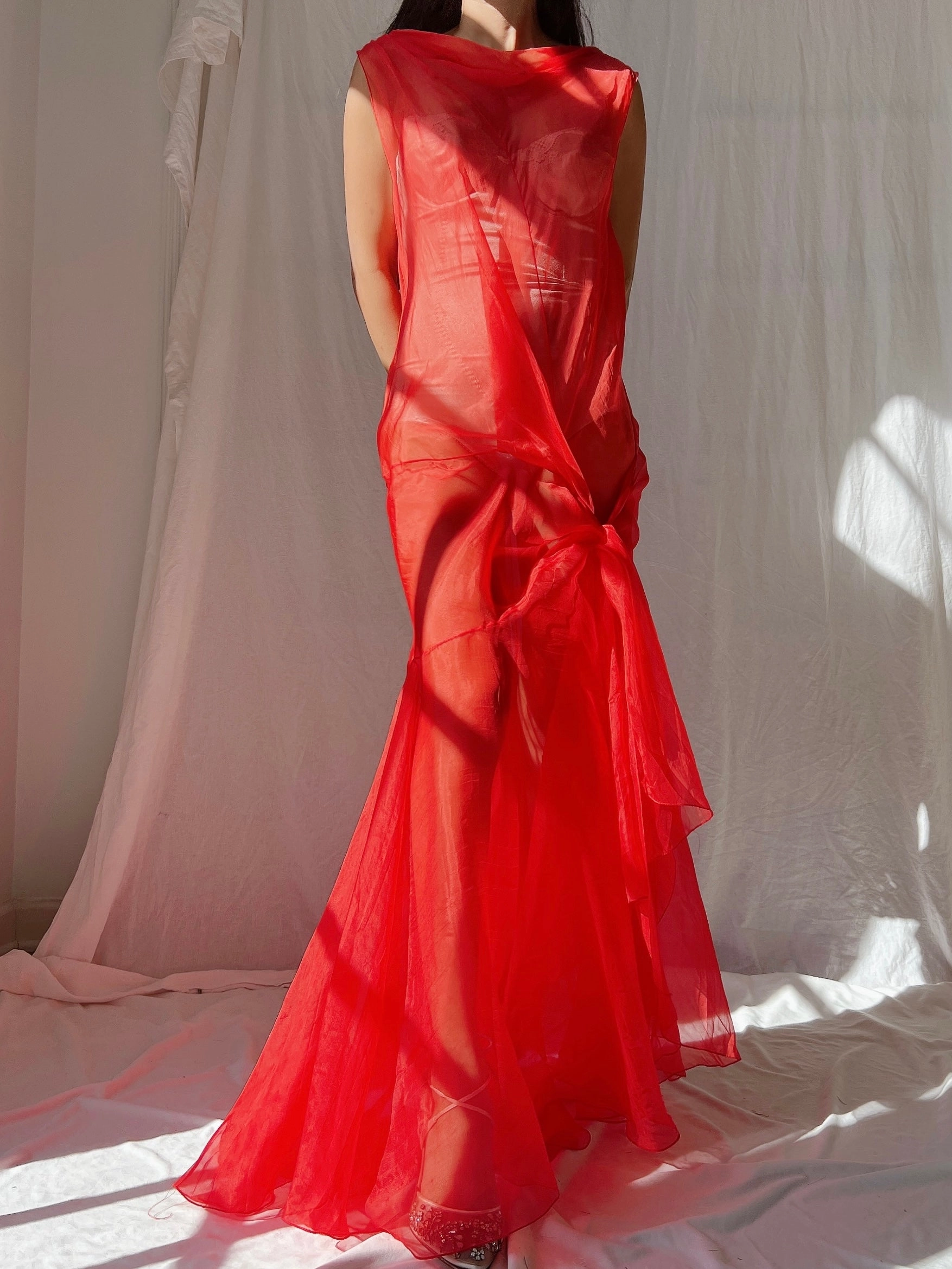 Vintage Silk Organza Dress - M