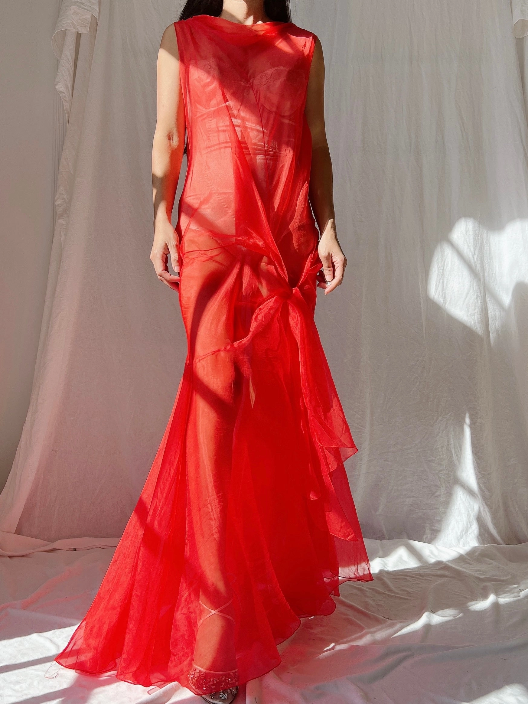 Vintage Silk Organza Dress - M