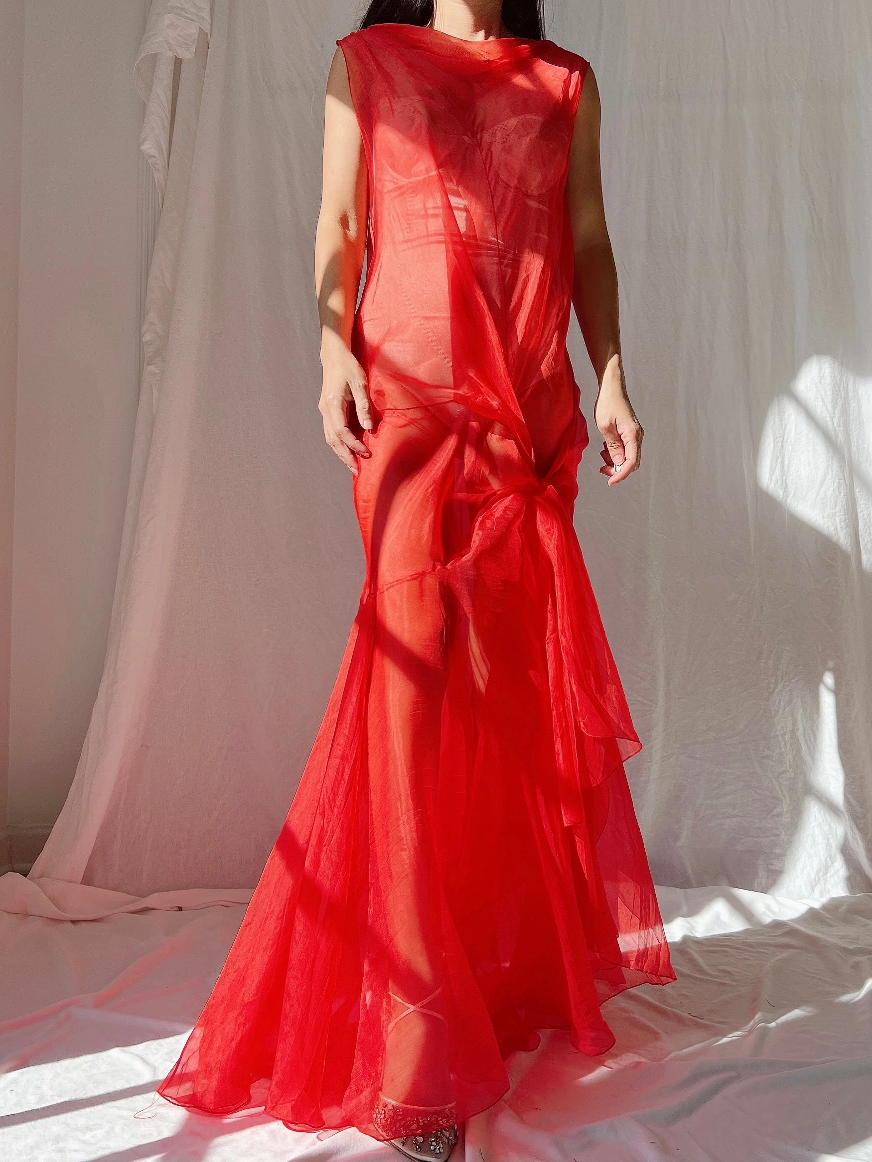 Vintage Silk Organza Dress - M