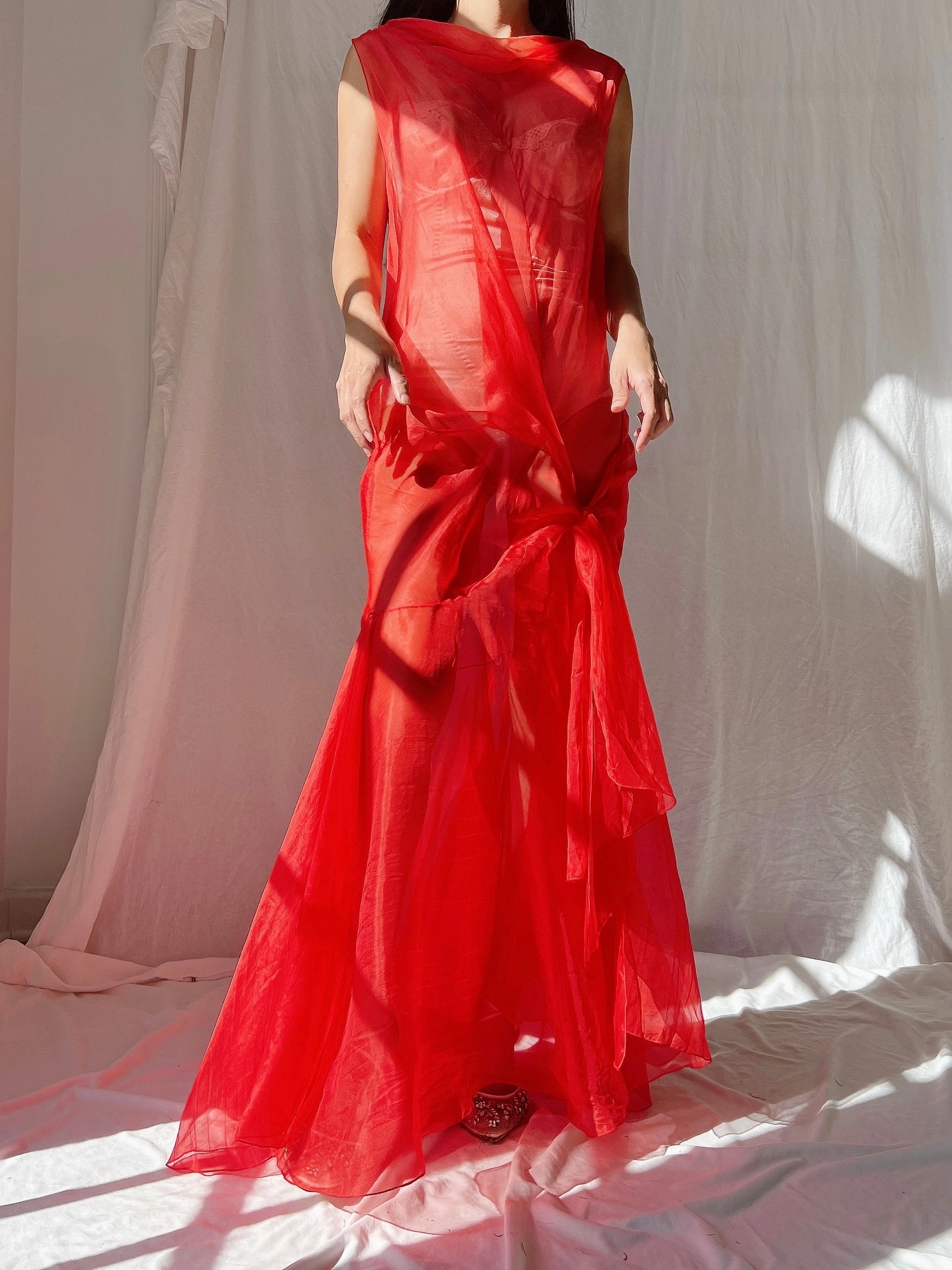 Vintage Silk Organza Dress - M
