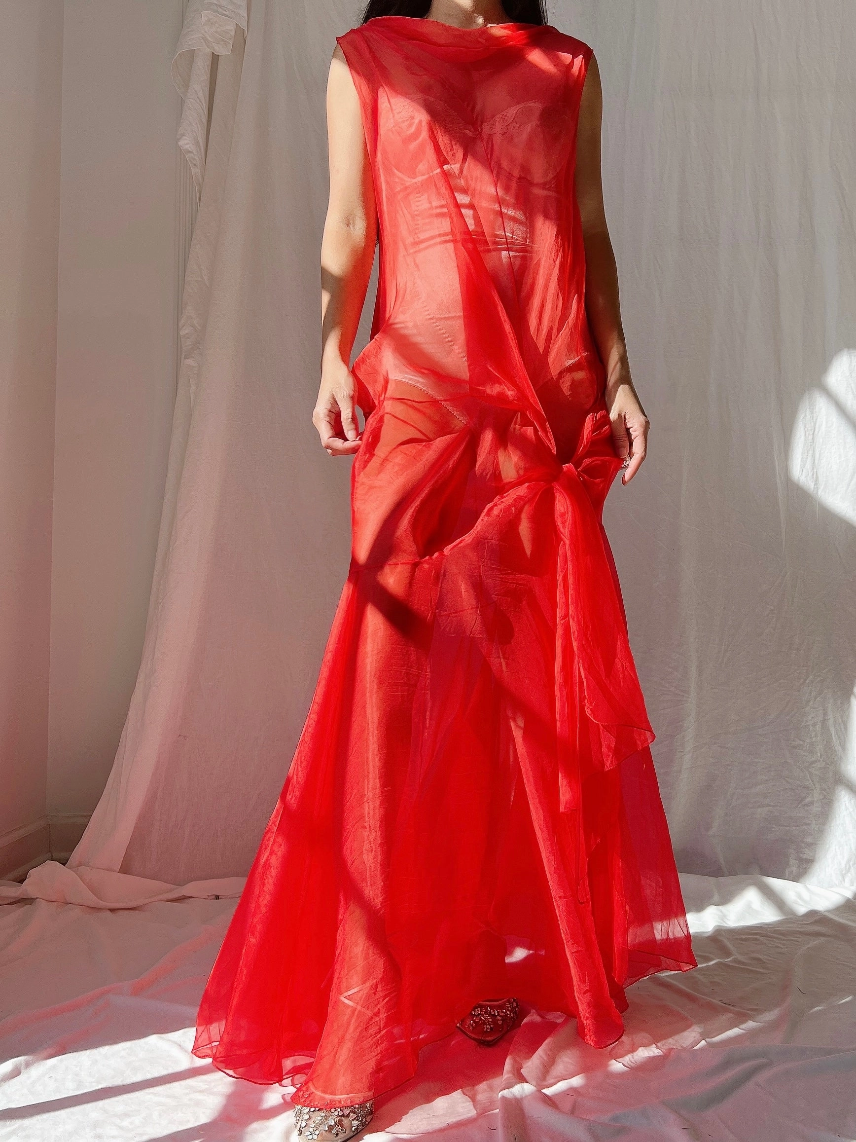 Vintage Silk Organza Dress - M