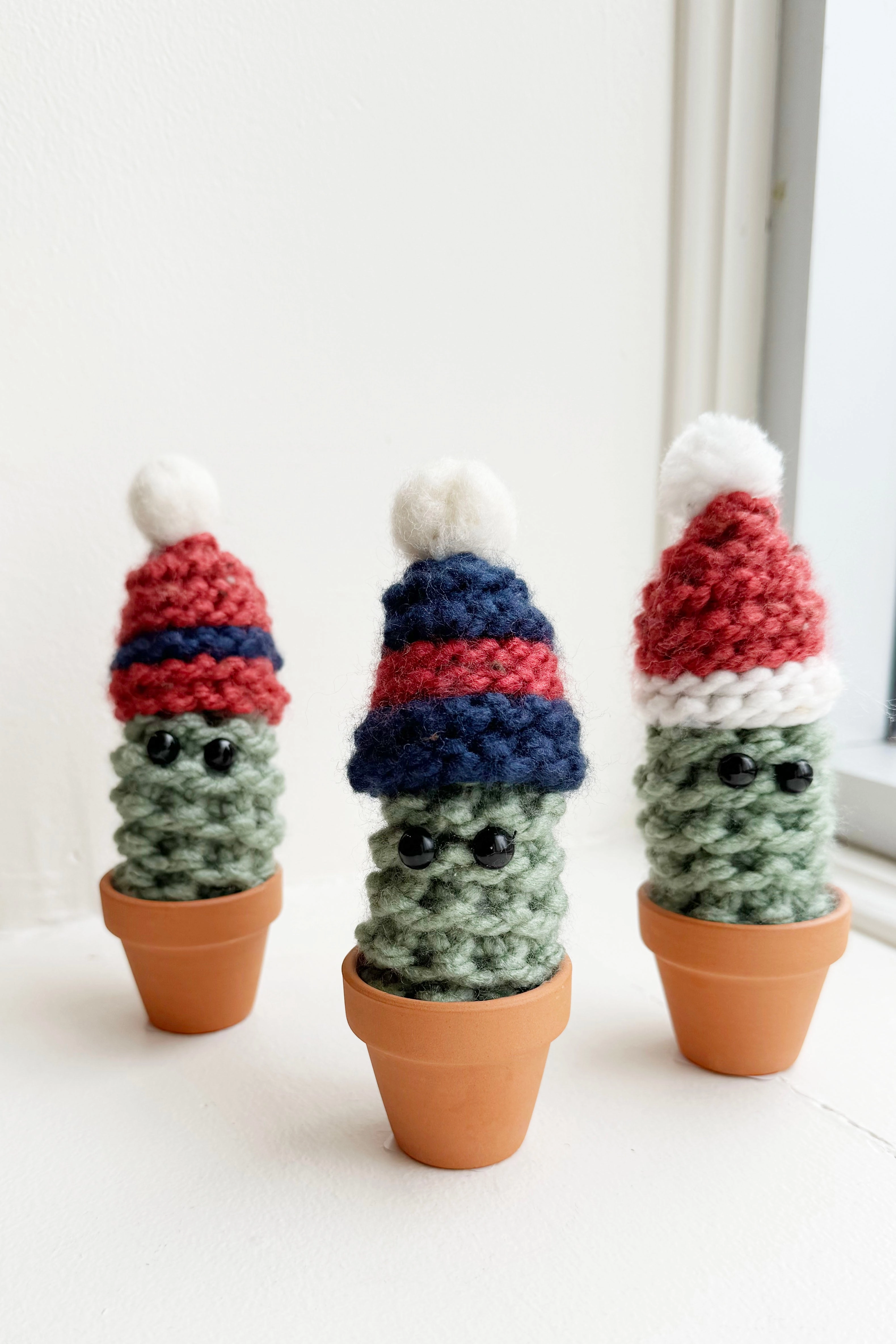 Winter Cactus