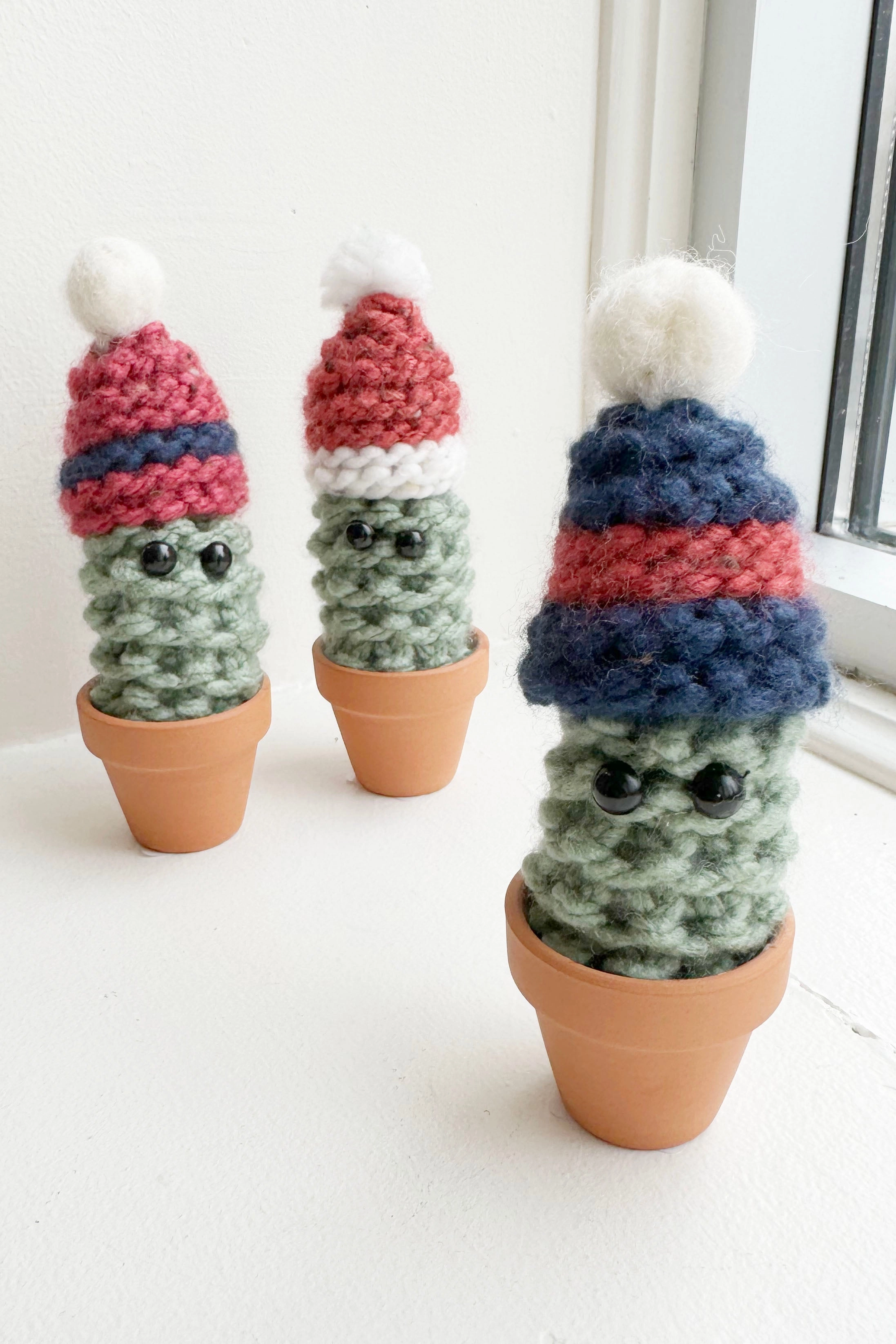 Winter Cactus