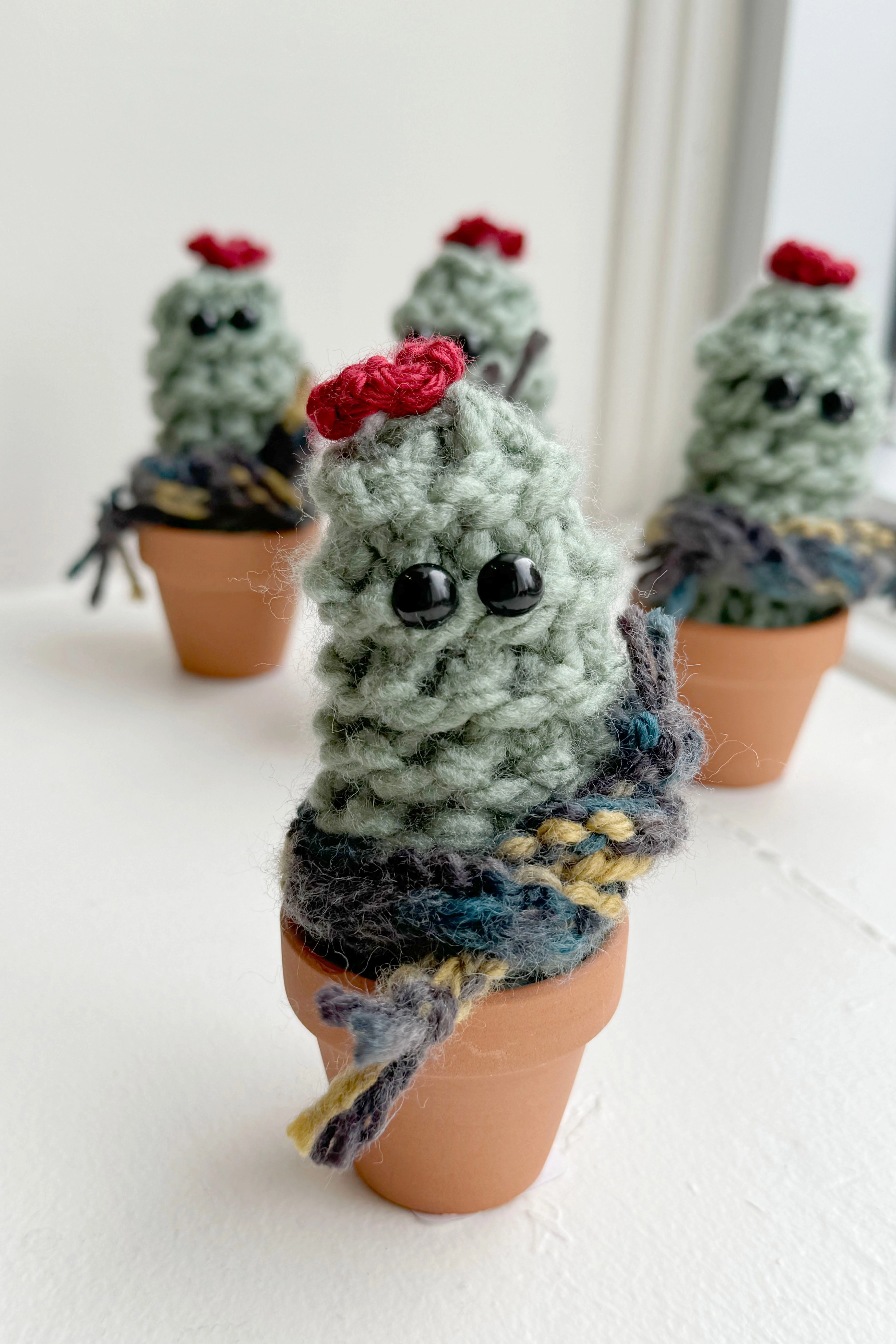 Winter Cactus
