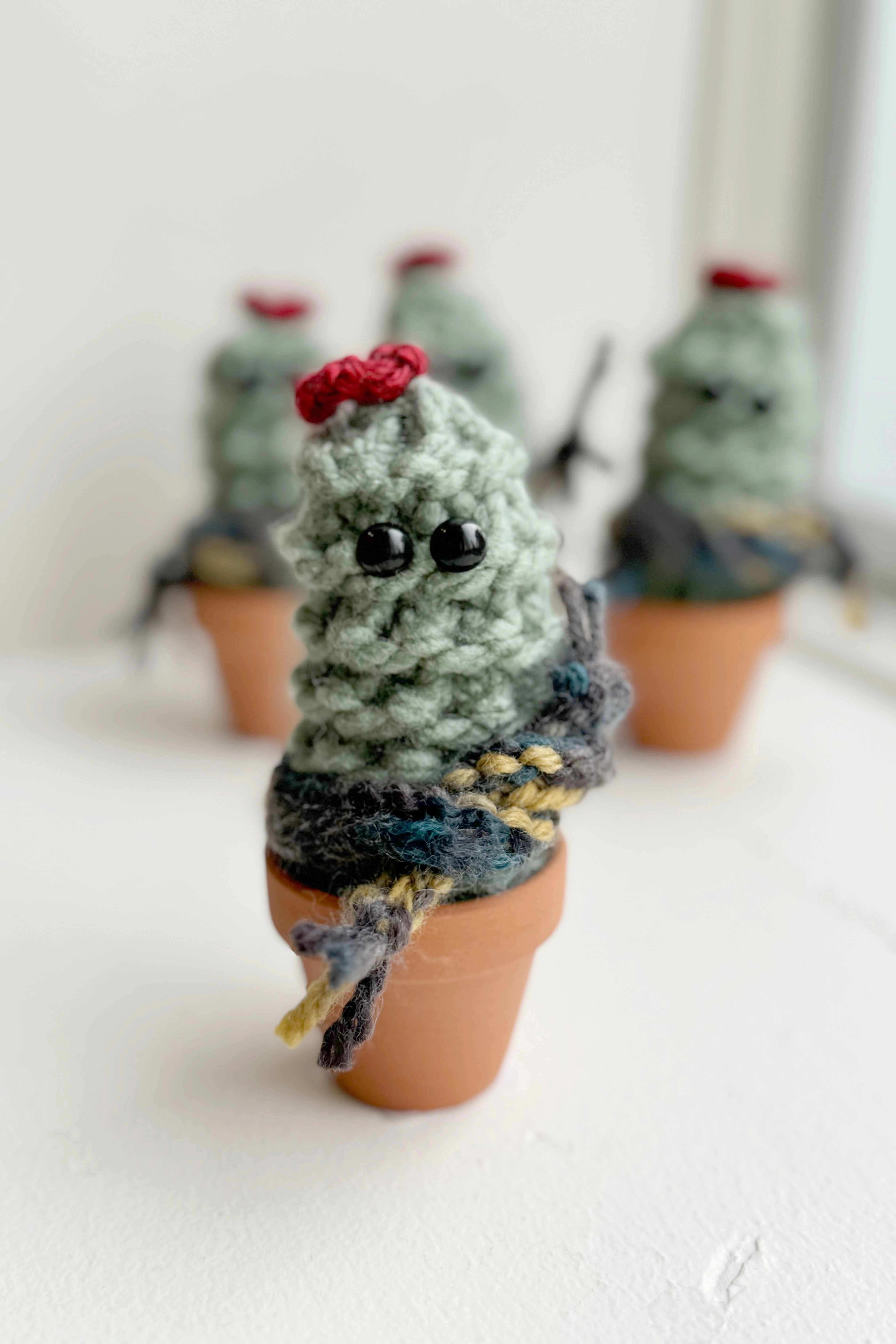 Winter Cactus