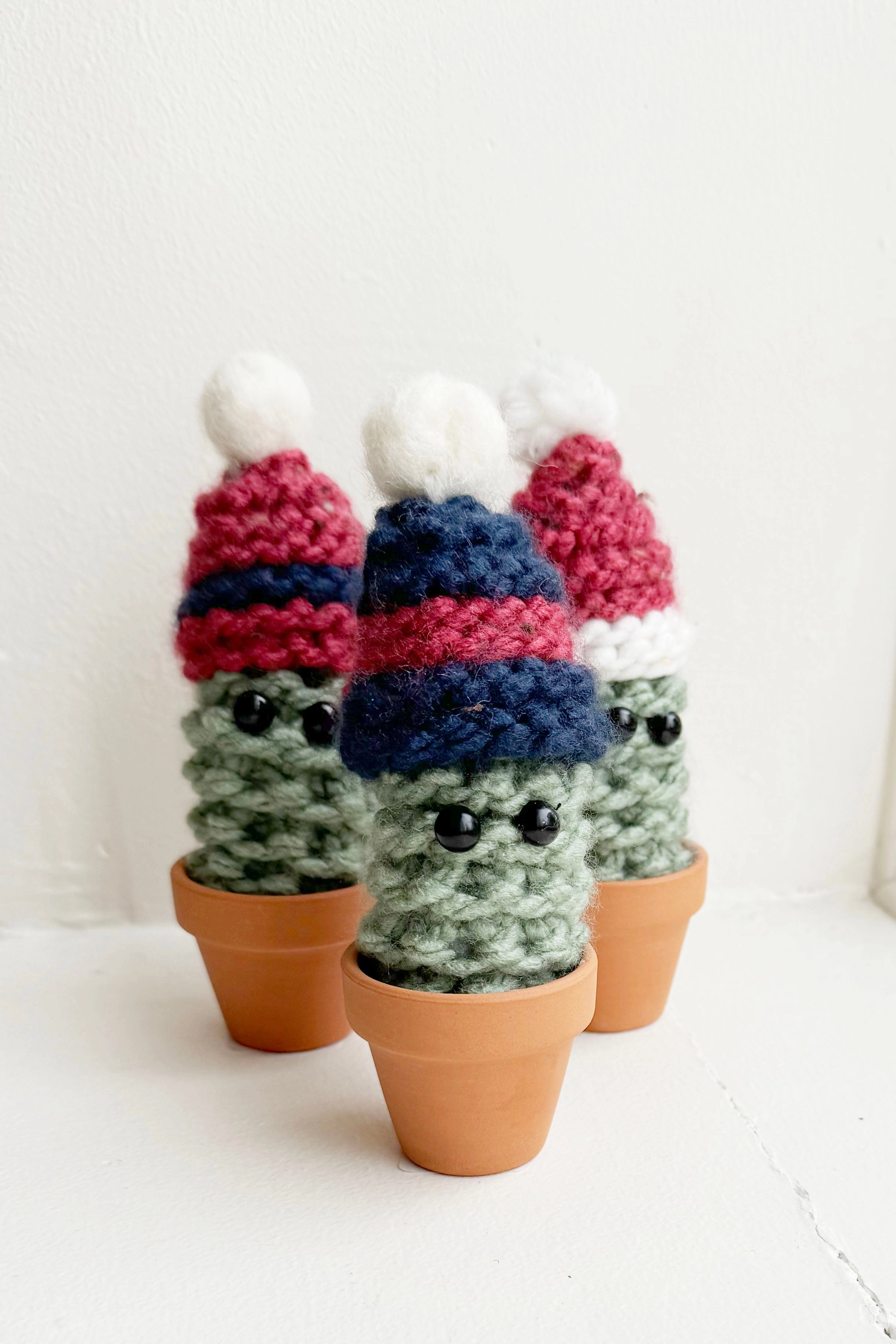 Winter Cactus
