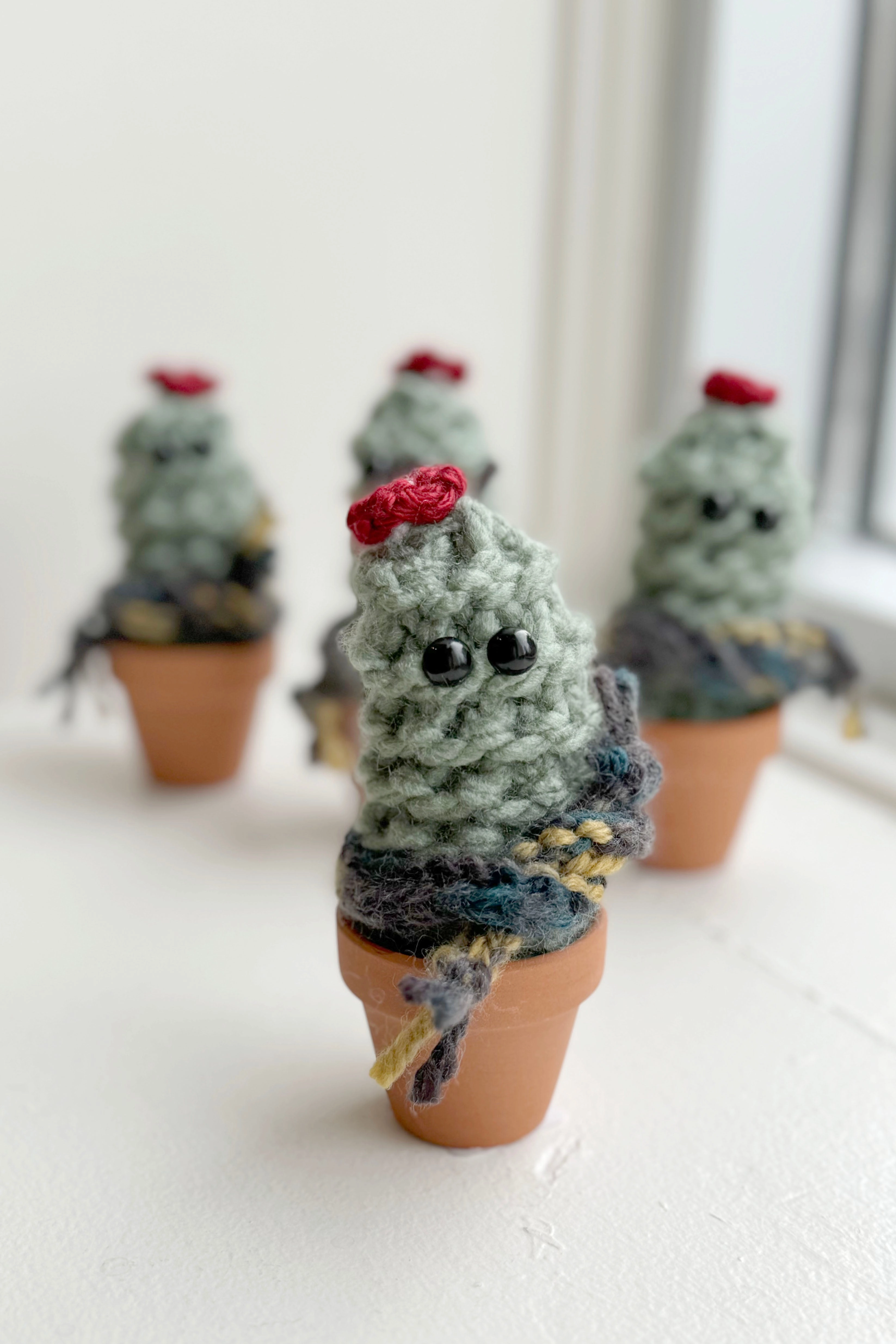 Winter Cactus